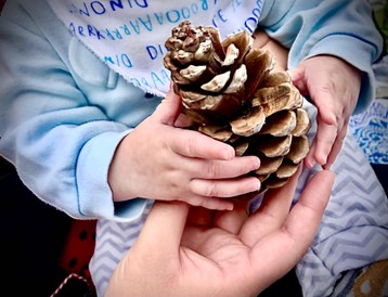 Describing and evaluating the Tree Babies intervention - ARC